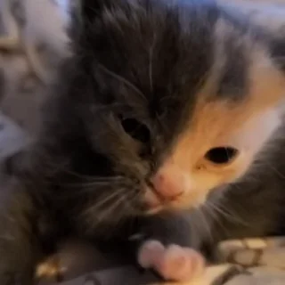😖
