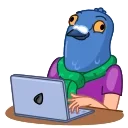 👨‍💻