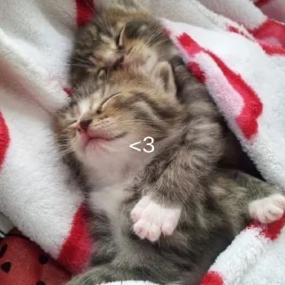 ❤️