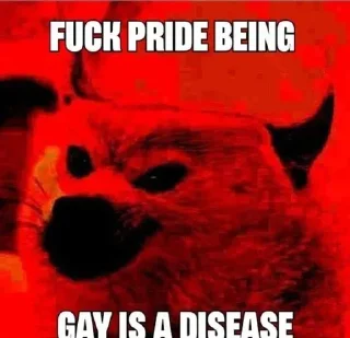 🏳‍🌈