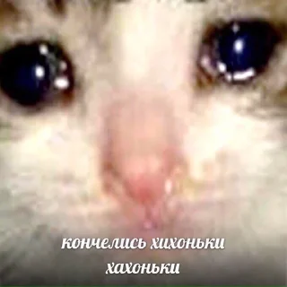 😥