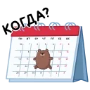 📅