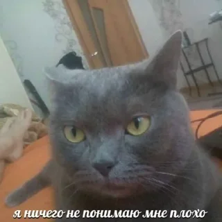 😣