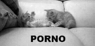 😣