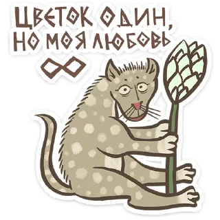 😺