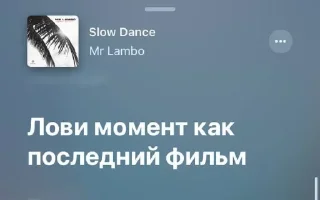 🎶