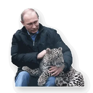 🐱