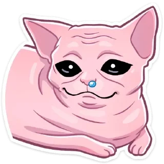😨