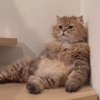 😔
