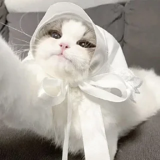 💘