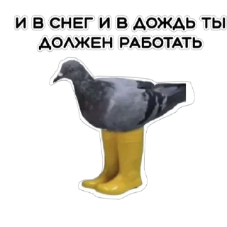 😭