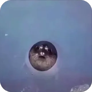 😟