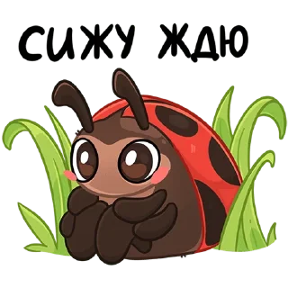 chpic.su • @Premium_Emojis_Telegram | Маюша
