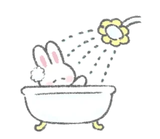 🐰