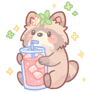 🦝