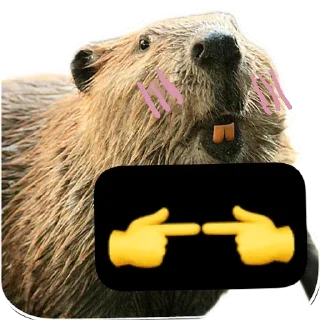 🦫