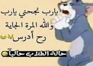 😿