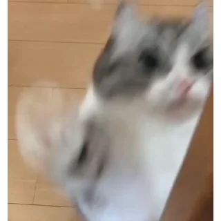 👊