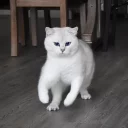 👊