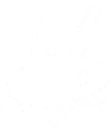 🐰