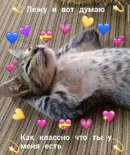 💝
