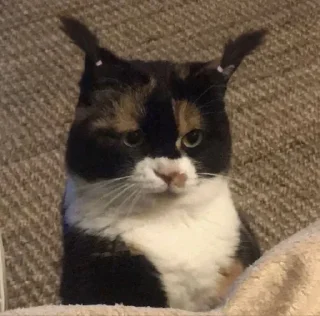 😕