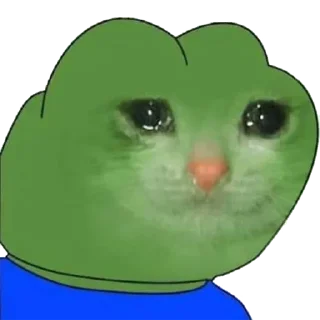 😿
