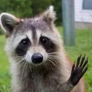 👋
