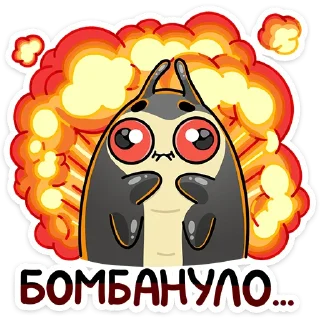 💣