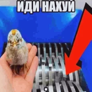 🖕