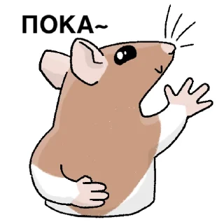 👋