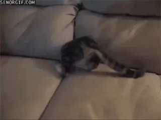 🛋