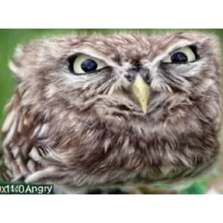 😡