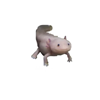 🗿