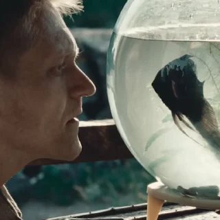 🐠