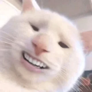 😆