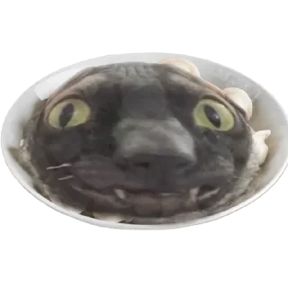 🥟