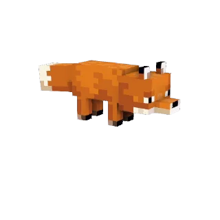 🦊