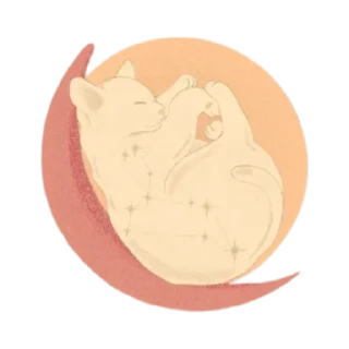Cats Vision @stickersb2b