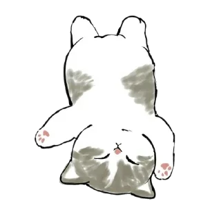 😴