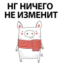 🐷