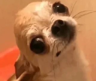 🙂