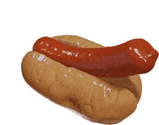 🌭