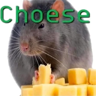 🧀