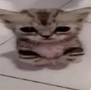 🥺