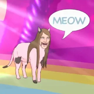 🐈