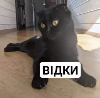 😳
