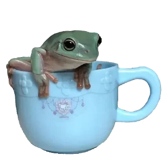 🐸