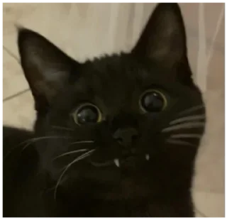 😉