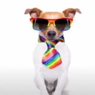 🏳‍🌈